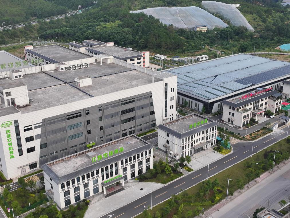 活力中國調研行｜沿着東江走出深山，老區農業如何撬開灣區市場？