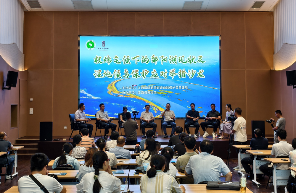 丰水期“不丰” 专家探讨鄱阳湖有效治理