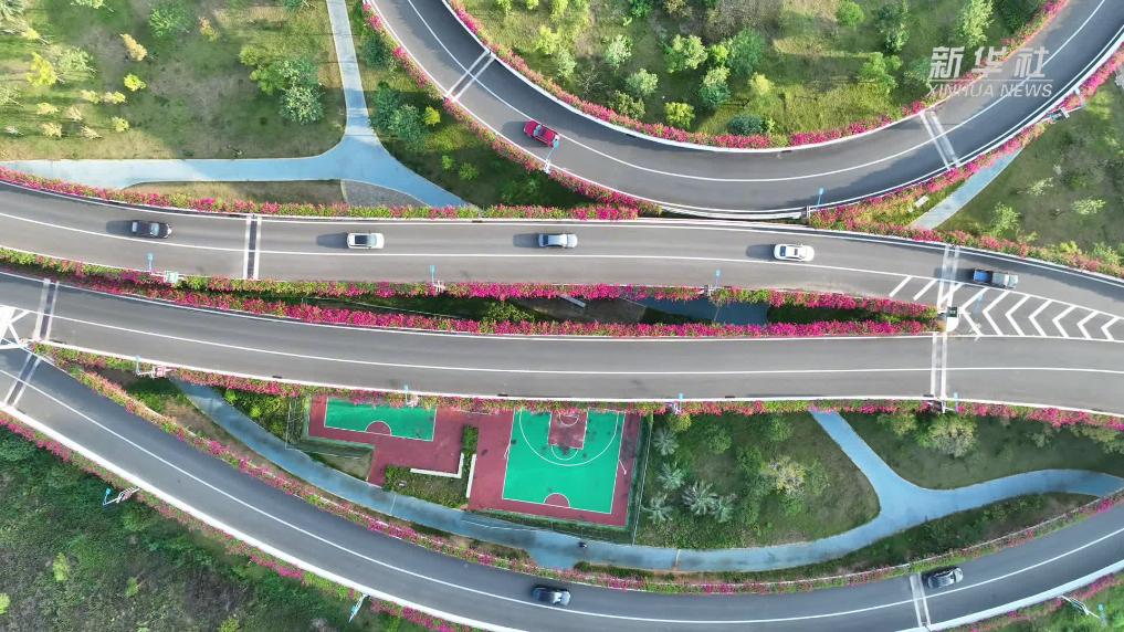 江西赣州:“空中花廊” 上线!高架三角梅美出圈