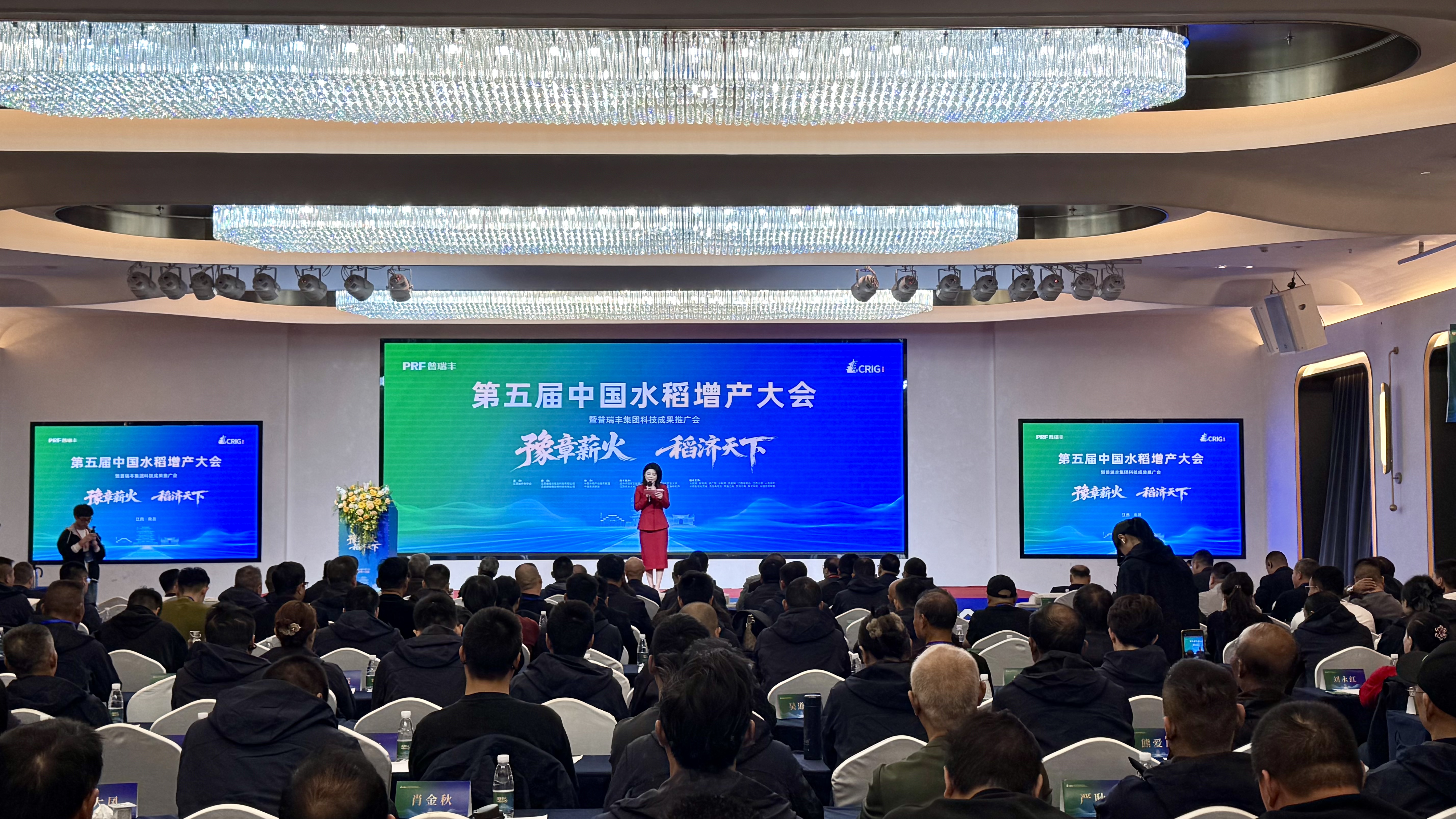 全国“大咖”齐聚南昌共话水稻增产之道