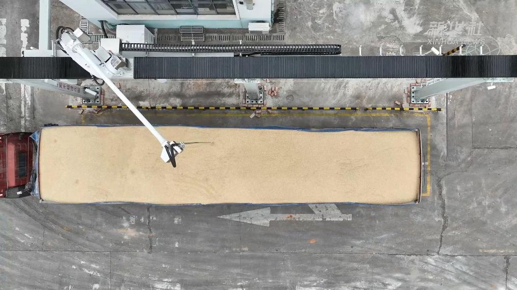 江西泰和:智慧粮库实现科技储粮