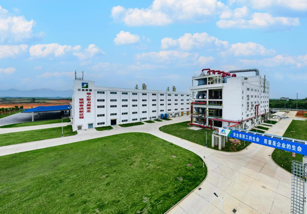 固本、拓新、致远：江盐集团的“十四五”实践