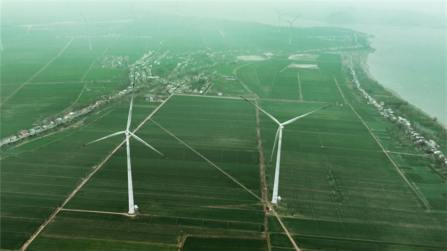 探访长江 “零碳岛”：风光共生赋能  江心岛绿色蝶变