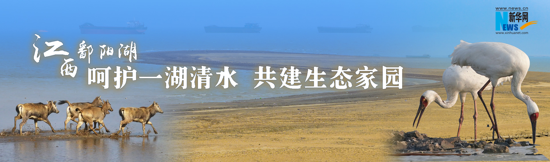 江西鄱阳湖：呵护一湖清水 共建生态家园