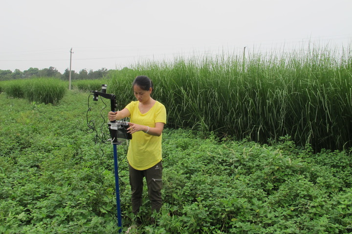 一水一土总关情