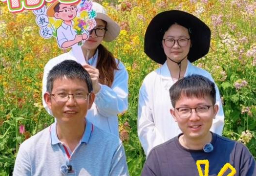 红的白的粉的紫的，春日严选，这花好绝！