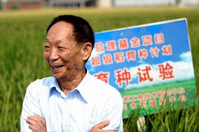朱虹 赖晨：用一粒种子改变世界——袁隆平