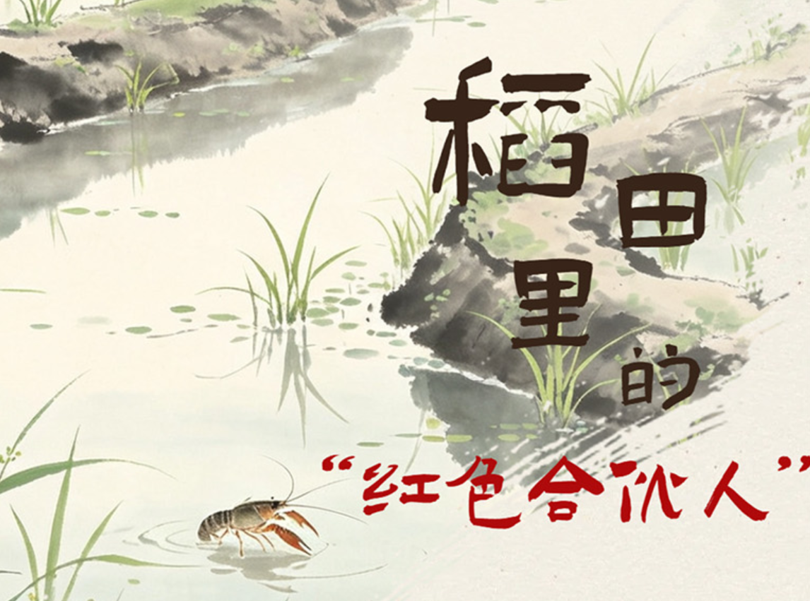 稻田里的“红色合伙人”