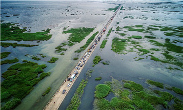 鄱阳湖再现"水上公路"